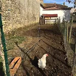 Apartamento Jardin-darcy - Piscine Au Sel