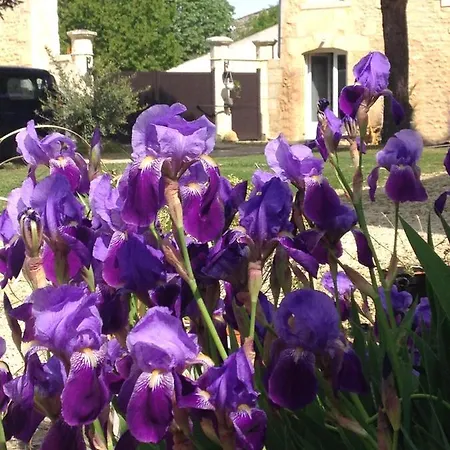 Jardin-darcy - Piscine Au Sel Apartment