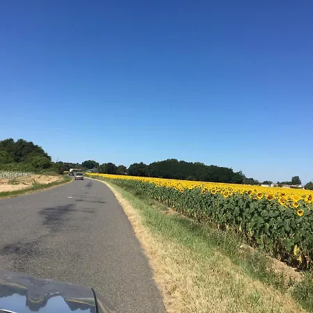 Jardin-darcy - Piscine Au Sel *