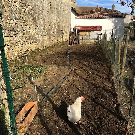Apartment Jardin-darcy - Piscine Au Sel