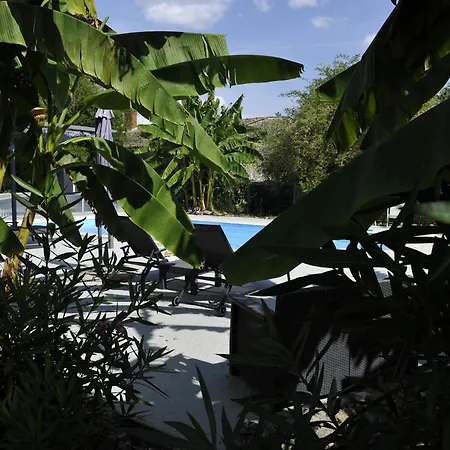 Jardin-darcy - Piscine Au Sel * Bois