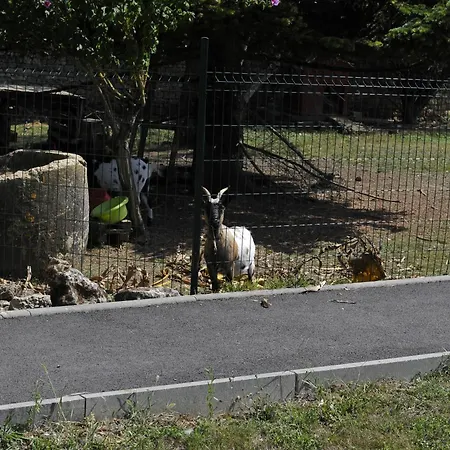 Jardin-darcy - Piscine Au Sel Apartment