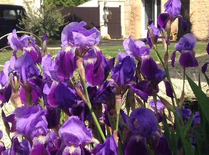 Jardin-darcy - Piscine Au Sel 公寓