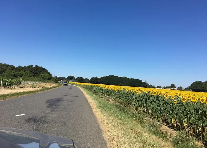Jardin-darcy - Piscine Au Sel *