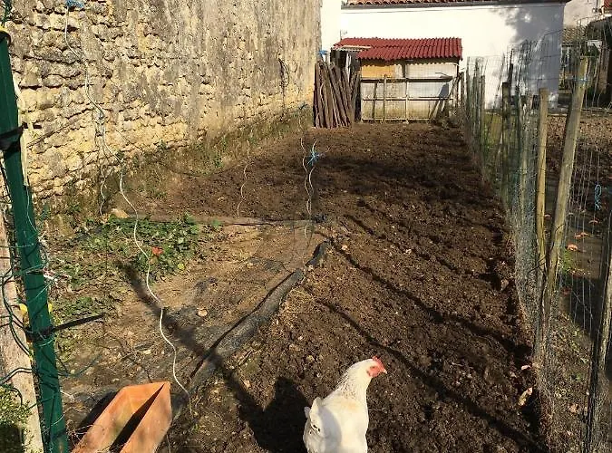 公寓 Jardin-darcy - Piscine Au Sel