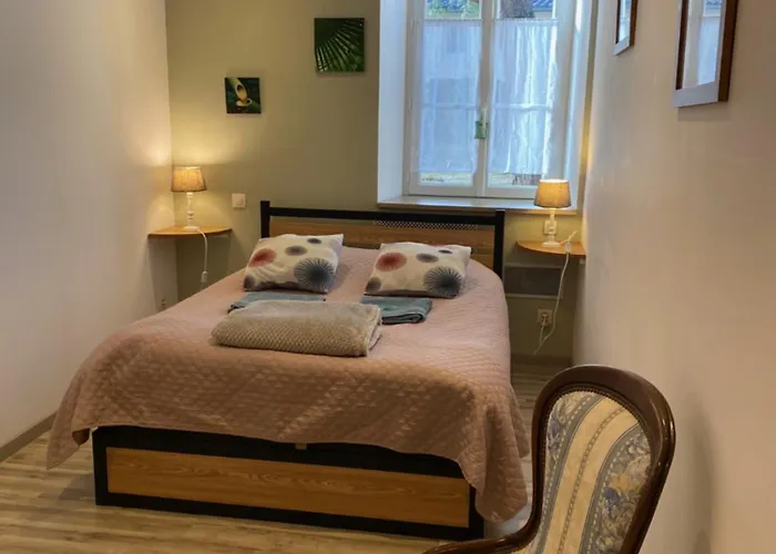 Jardin-darcy - Piscine Au Sel *