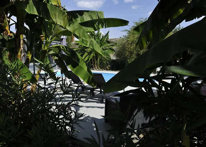 Jardin-darcy - Piscine Au Sel * Bois