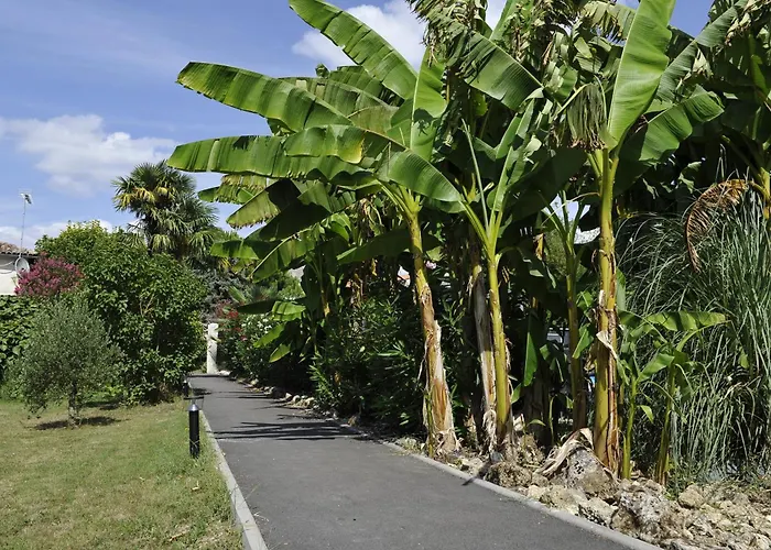 公寓 Jardin-darcy - Piscine Au Sel Bois