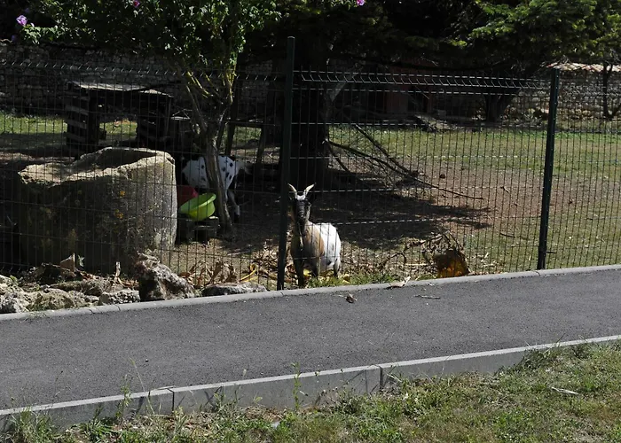 Jardin-darcy - Piscine Au Sel 公寓